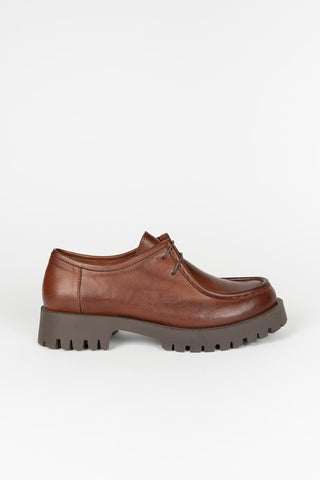 Lotti brown shoe