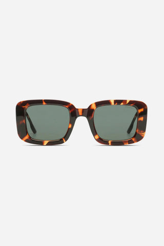 Gafas de sol Komono Avery havana