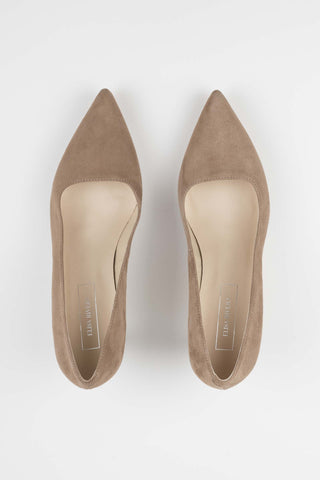 SALON DINGO ANTE TACON BAJO TOPO