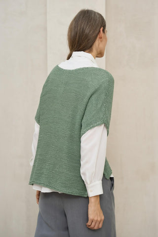 Jersey Calira salvia