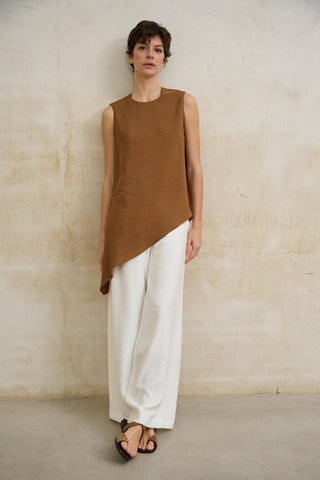 Aristea copper top